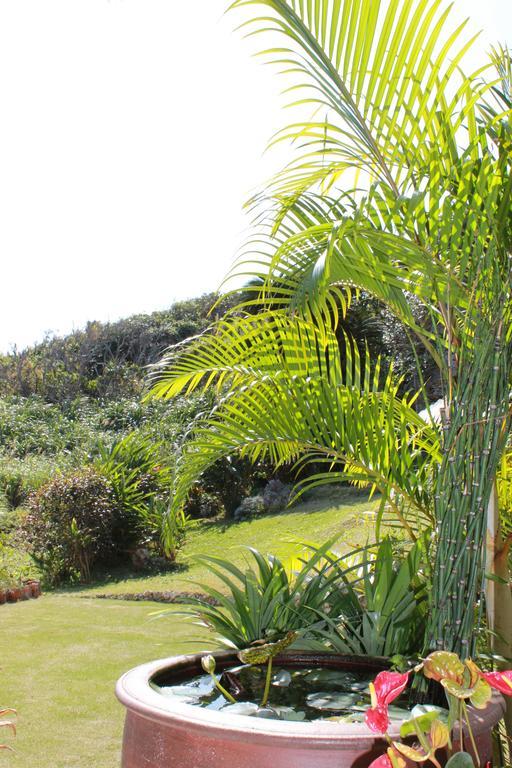 Villa La Casita Kouri Nakijin Exterior foto